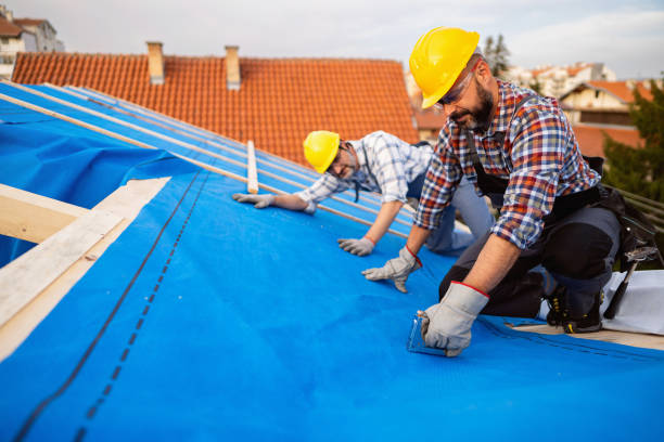 Best Local Roofing Companies  in Blue Ash, OH